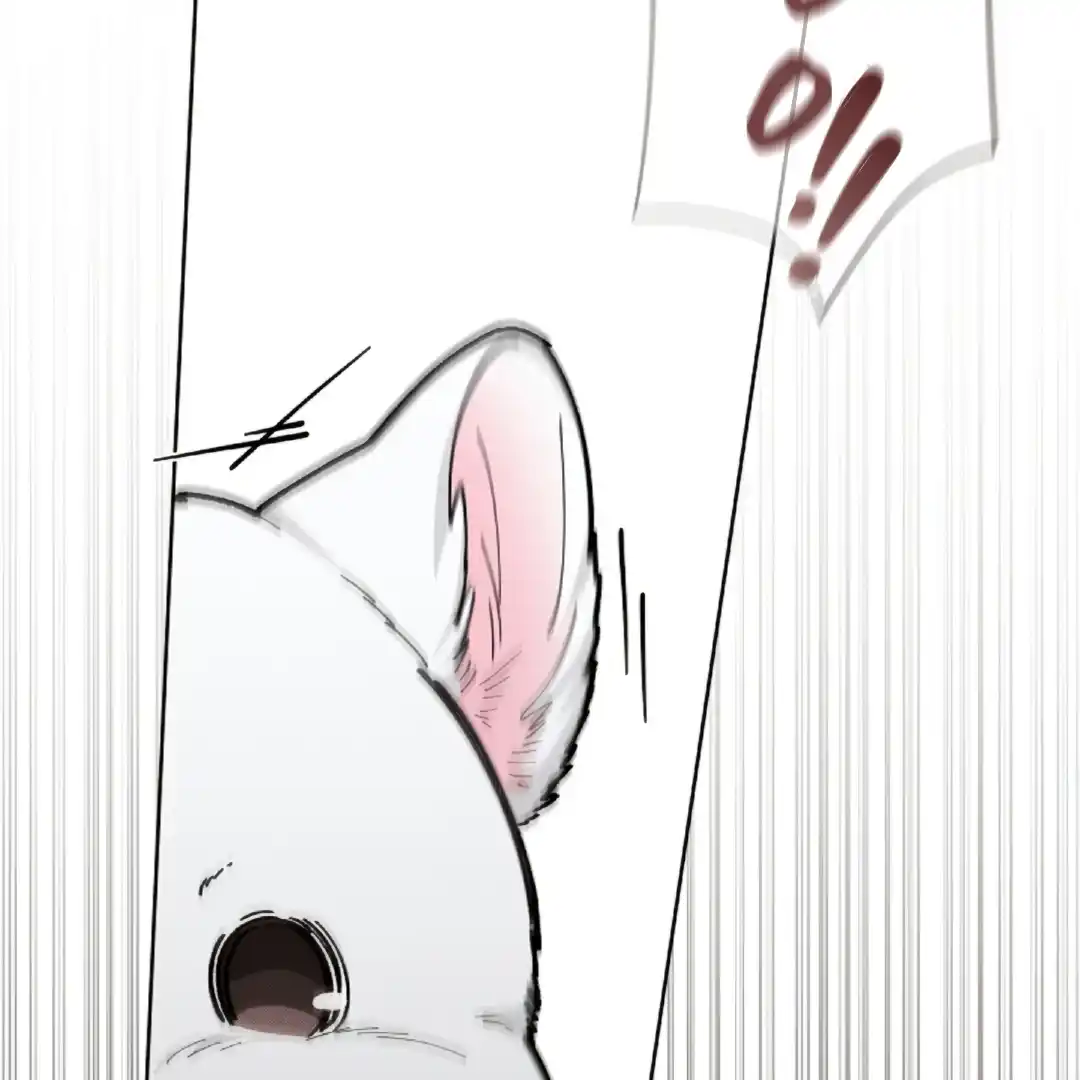 Don’t Mess With the Puppy! Chapter 13 - Page 68 in English