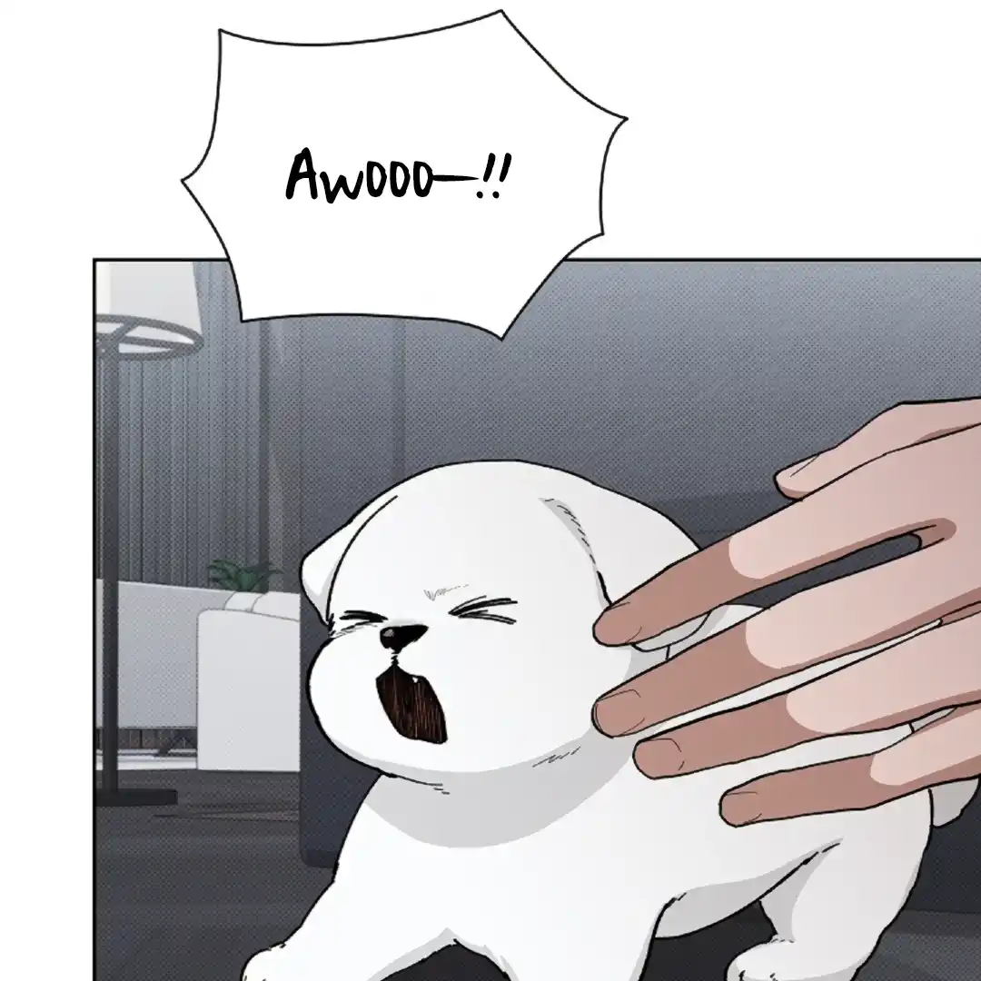 Don’t Mess With the Puppy! Chapter 13 - Page 97 in English
