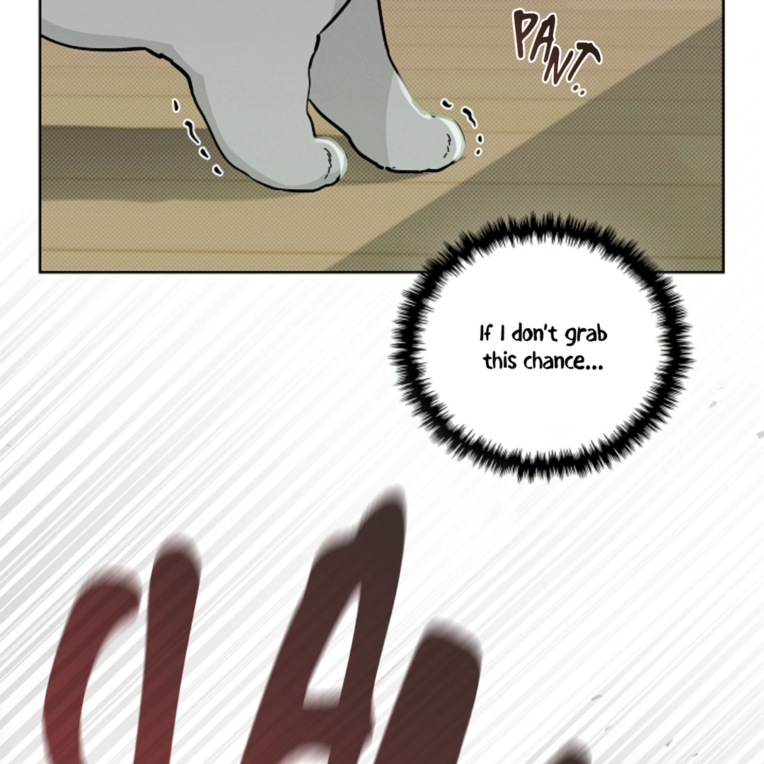 Don’t Mess With the Puppy! Chapter 15 - Page 124 in English