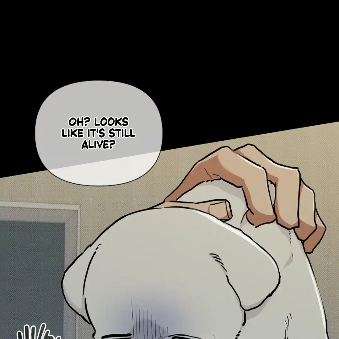 Don’t Mess With the Puppy! Chapter 16 - Page 21 in English