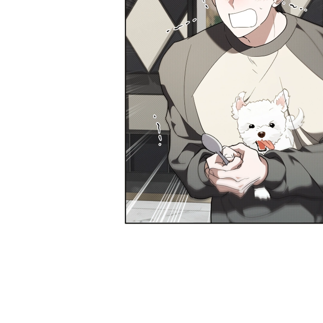 Don’t Mess With the Puppy! Chapter 17 - Page 51 in English