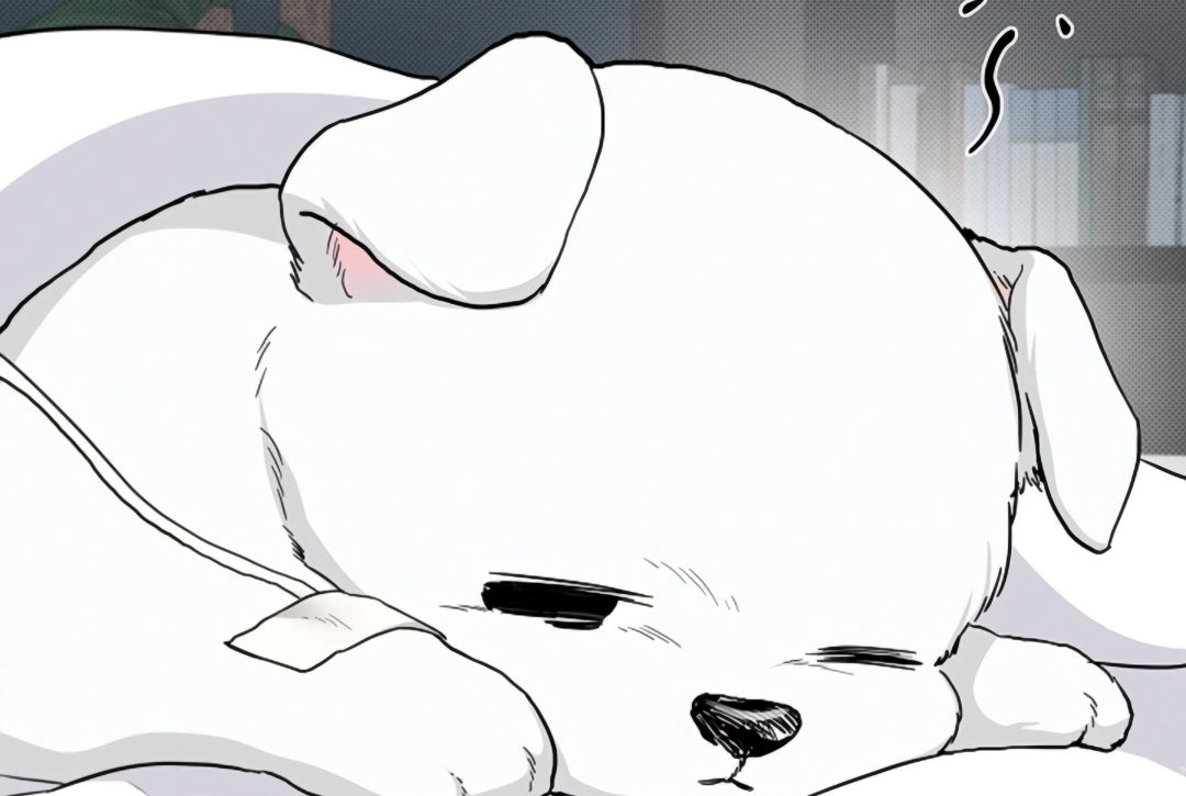 Don’t Mess With the Puppy! Chapter 17 - Page 82 in English