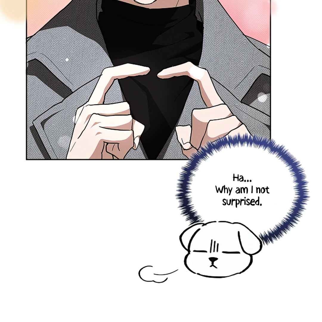 Don’t Mess With the Puppy! Chapter 18 - Page 14 in English