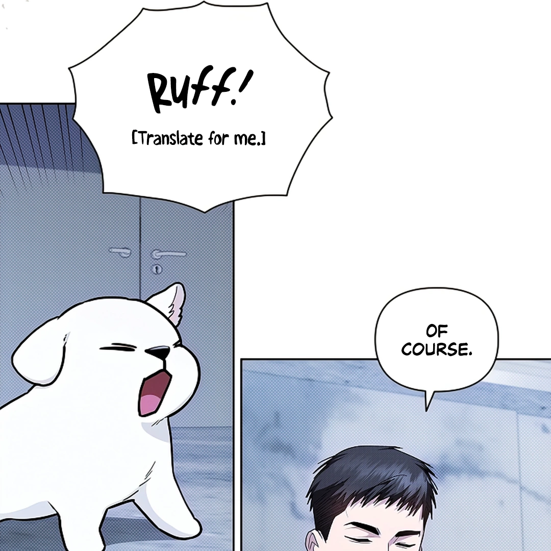 Don’t Mess With the Puppy! Chapter 18 - Page 9 in English
