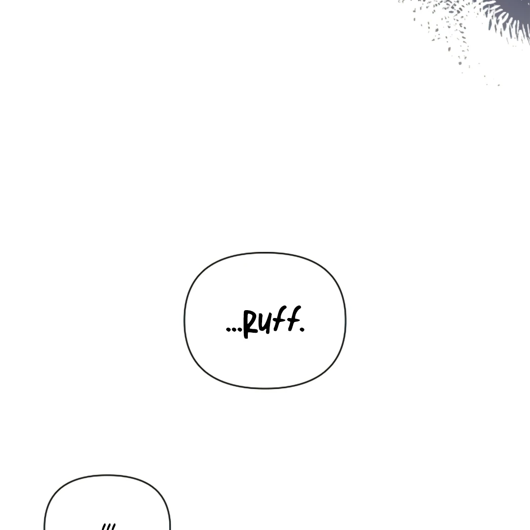 Don’t Mess With the Puppy! Chapter 19 - Page 97 in English