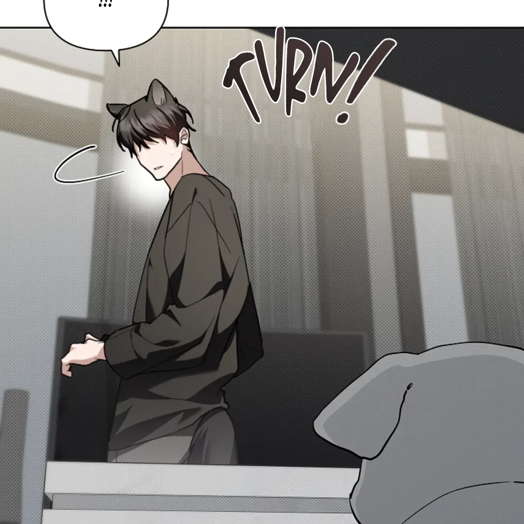 Don’t Mess With the Puppy! Chapter 19 - Page 98 in English