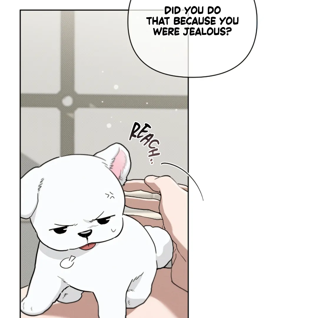 Don’t Mess With the Puppy! Chapter 21 - Page 125 in English