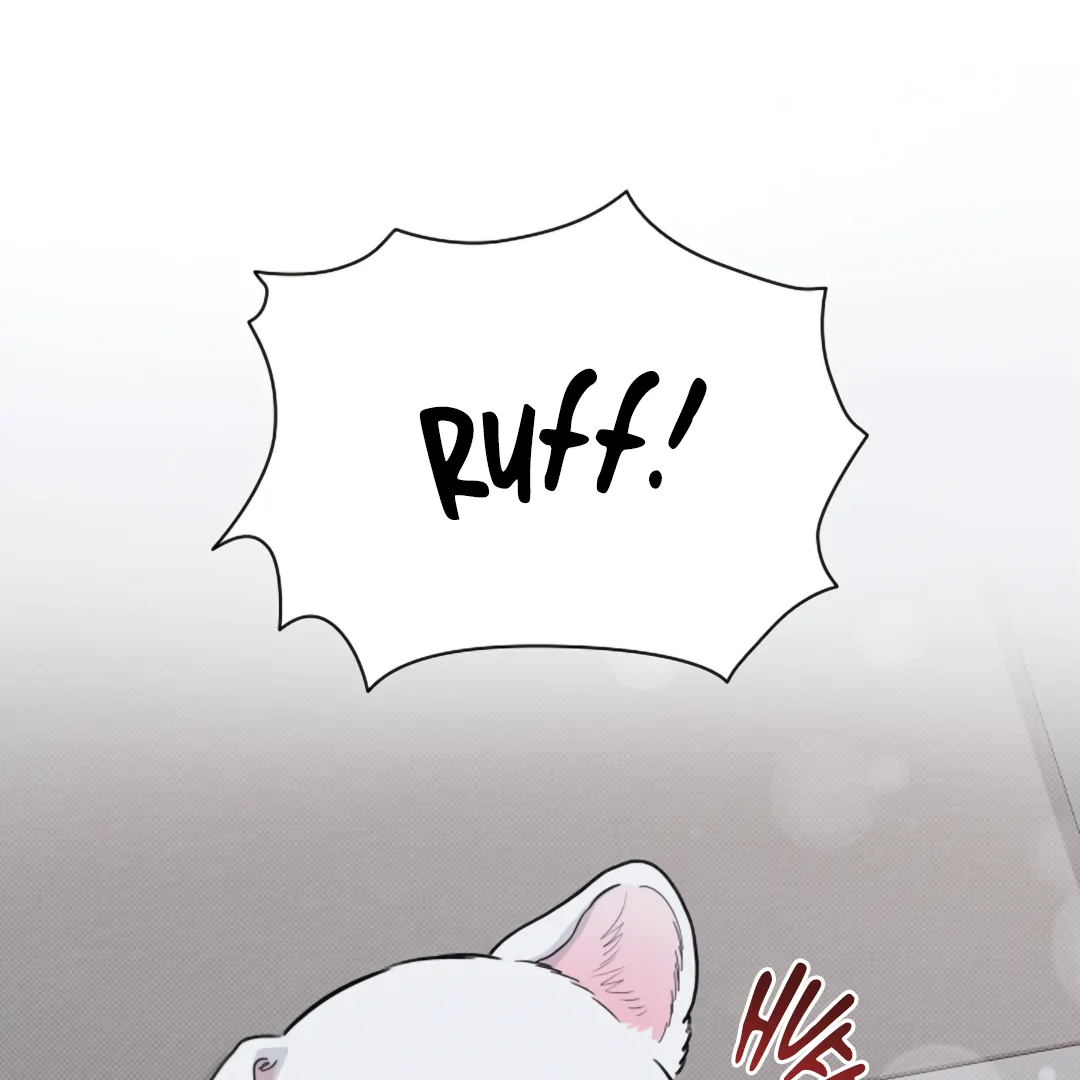 Don’t Mess With the Puppy! Chapter 23 - Page 20 in English