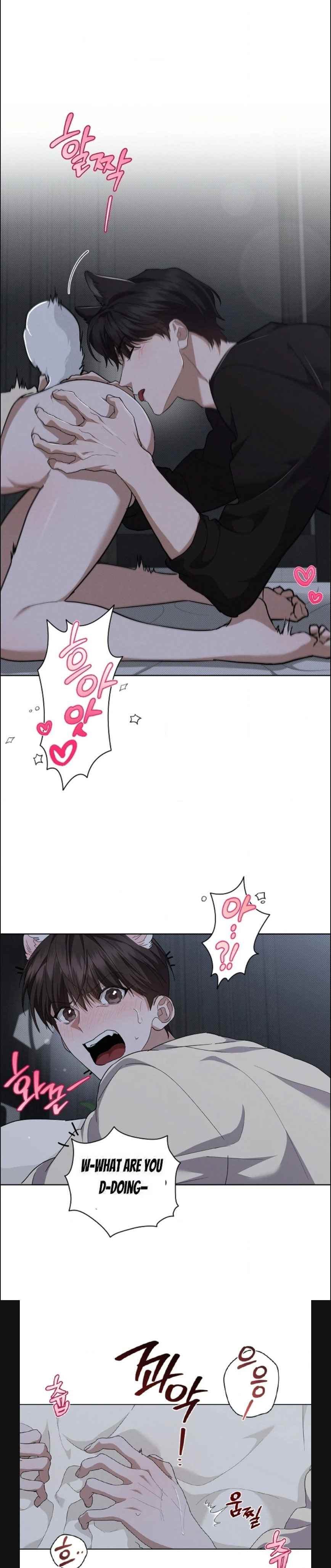 Don’t Mess With the Puppy! Chapter 25 - Page 14 in English