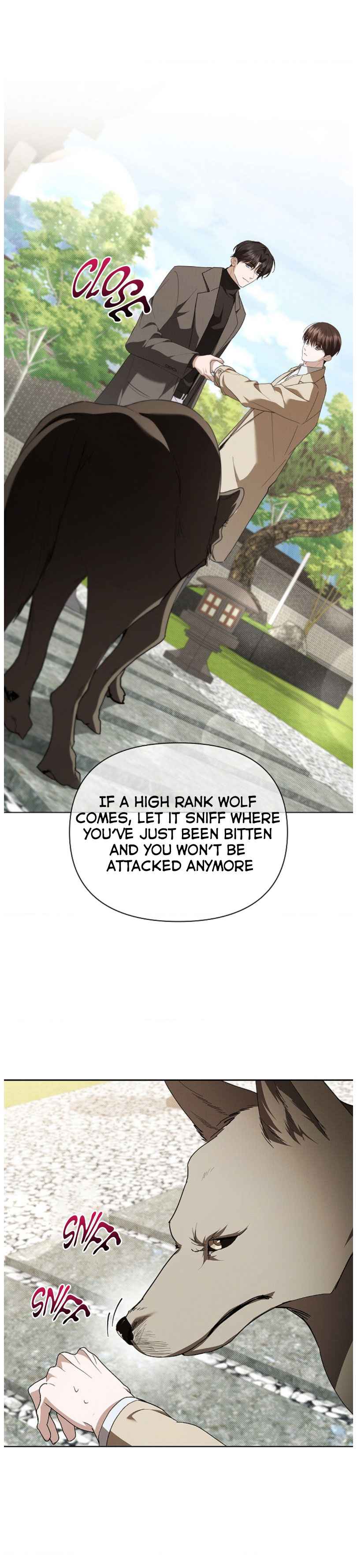 Don’t Mess With the Puppy! Chapter 29 - Page 6 in English