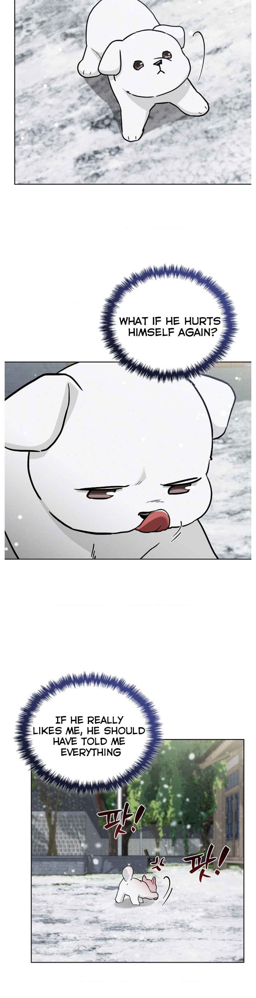Don’t Mess With the Puppy! Chapter 35.5 - Page 12 in English