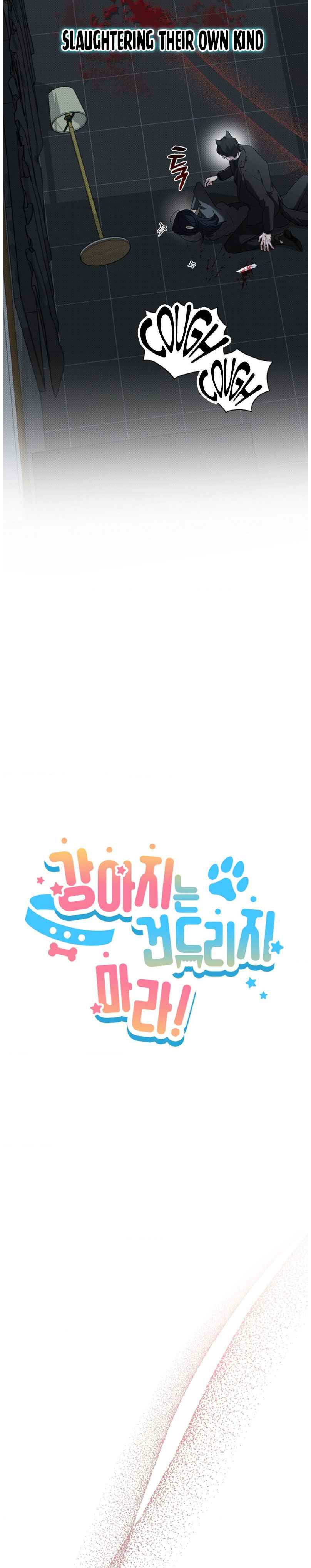 Don’t Mess With the Puppy! Chapter 38 - Page 3 in English