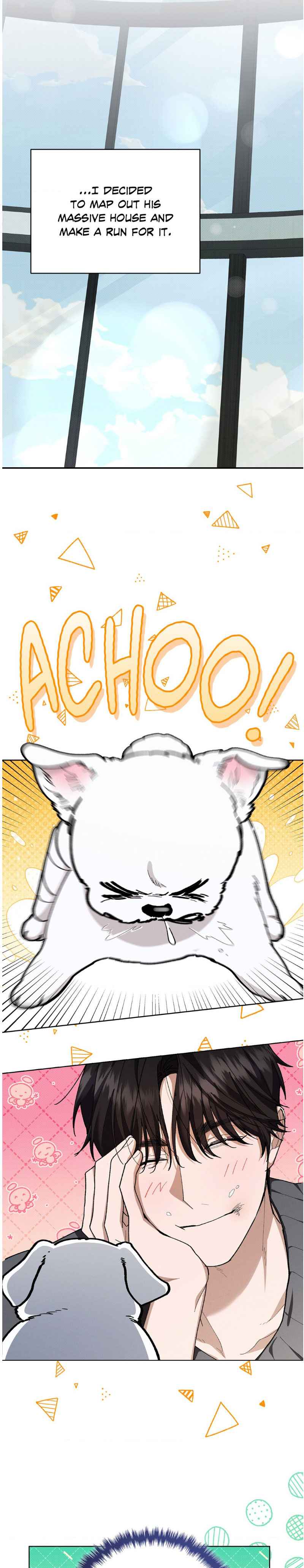 Don’t Mess With the Puppy! Chapter 4.5 - Page 5 in English
