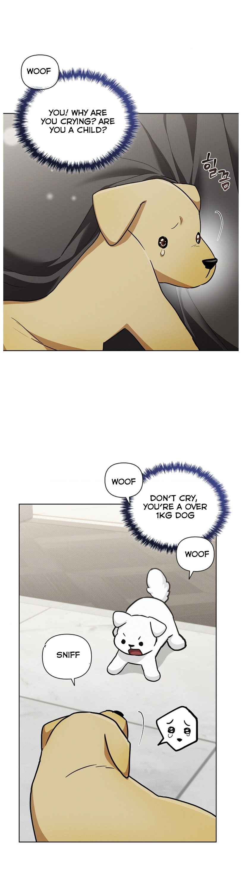 Don’t Mess With the Puppy! Chapter 47 - Page 5 in English