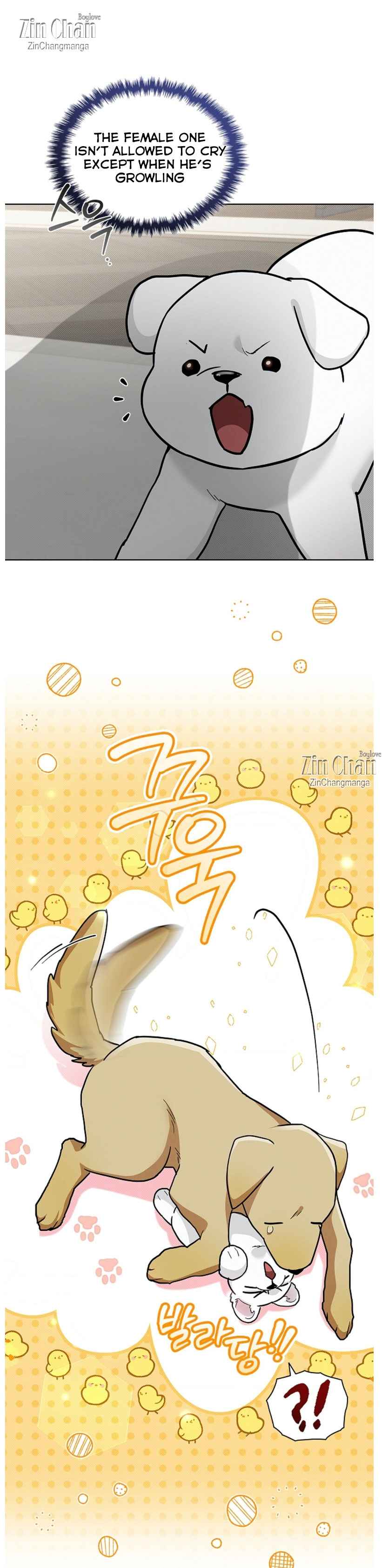 Don’t Mess With the Puppy! Chapter 47 - Page 6 in English