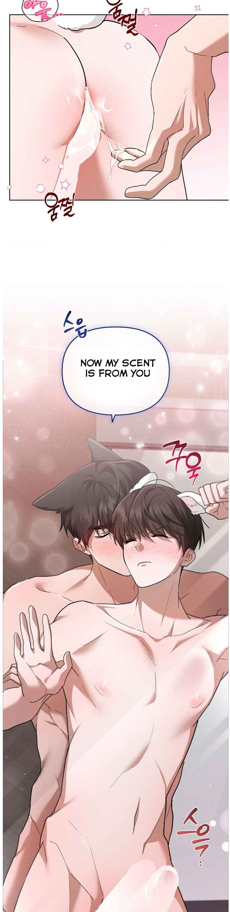 Don’t Mess With the Puppy! Chapter 48.5 - Page 5 in English
