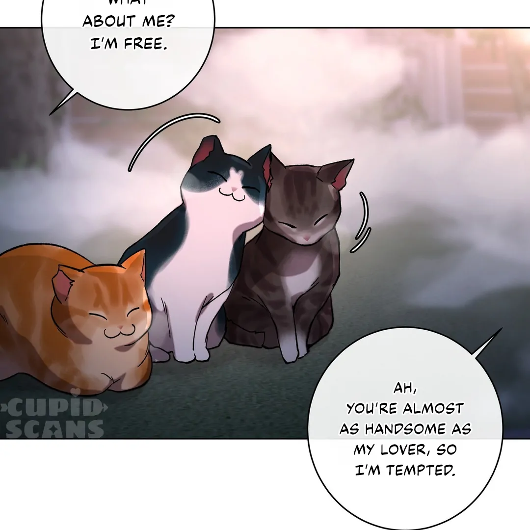 Release Your Persona Chapter 9 - Page 241 in English