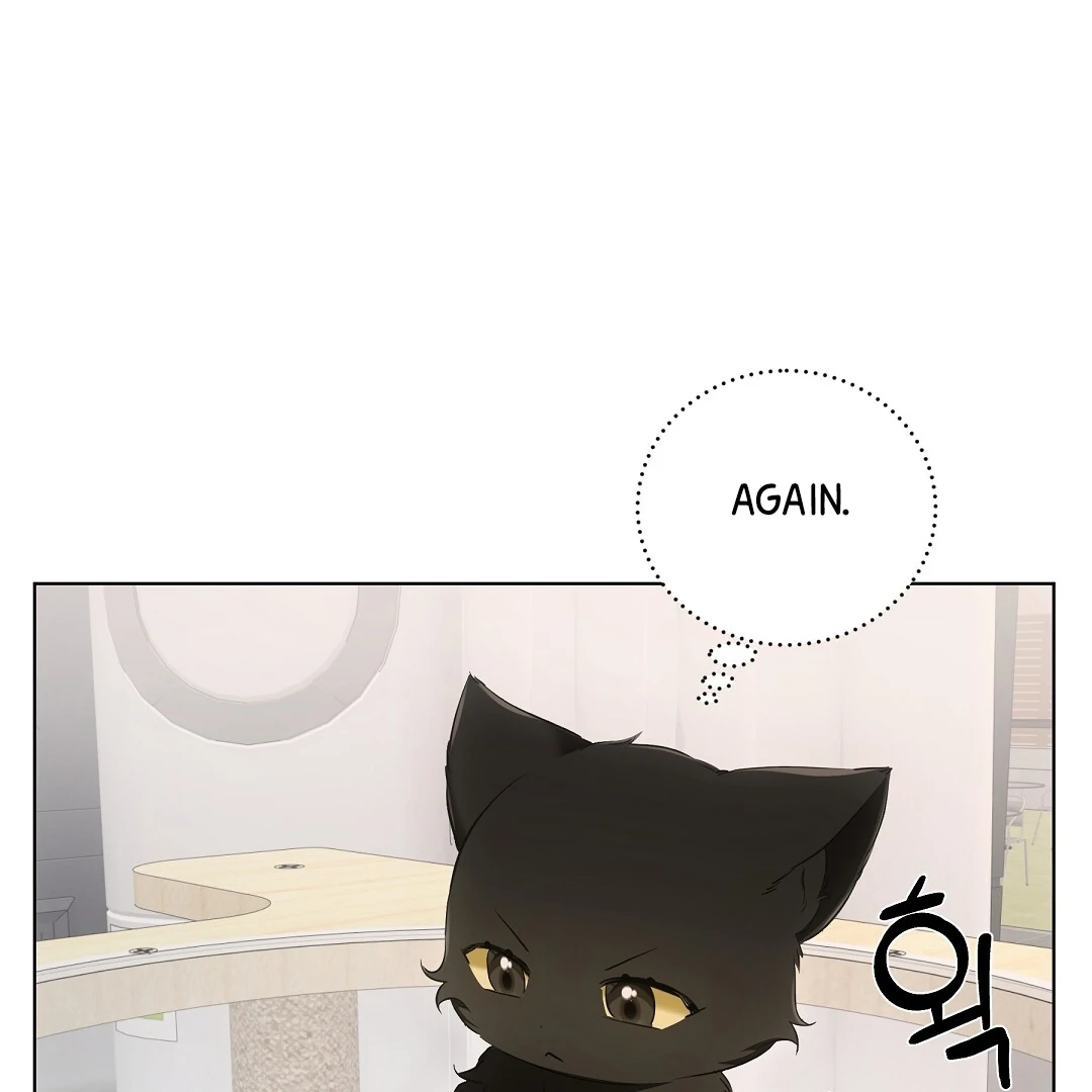 NEKO THERAPY Chapter 11 - Page 113 in English
