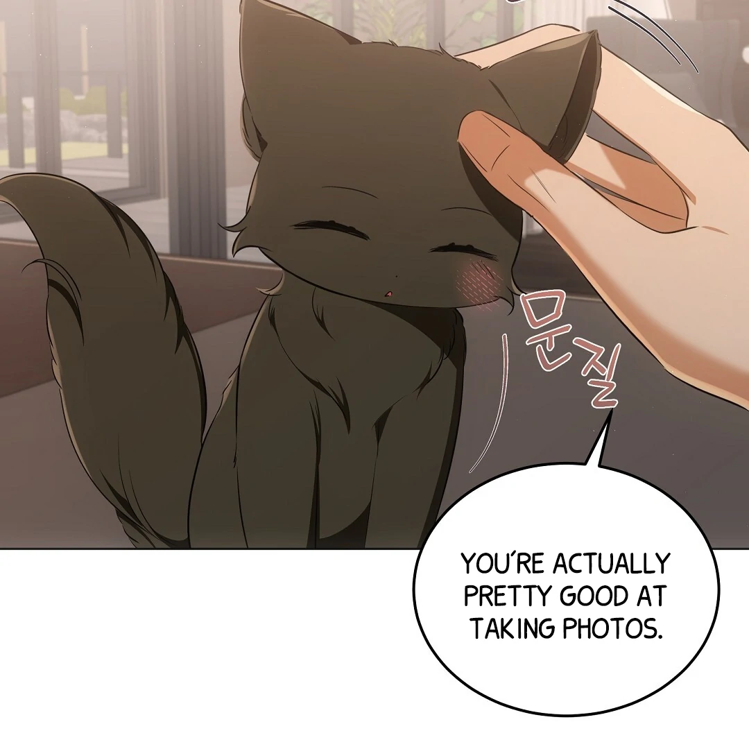 NEKO THERAPY Chapter 11 - Page 63 in English
