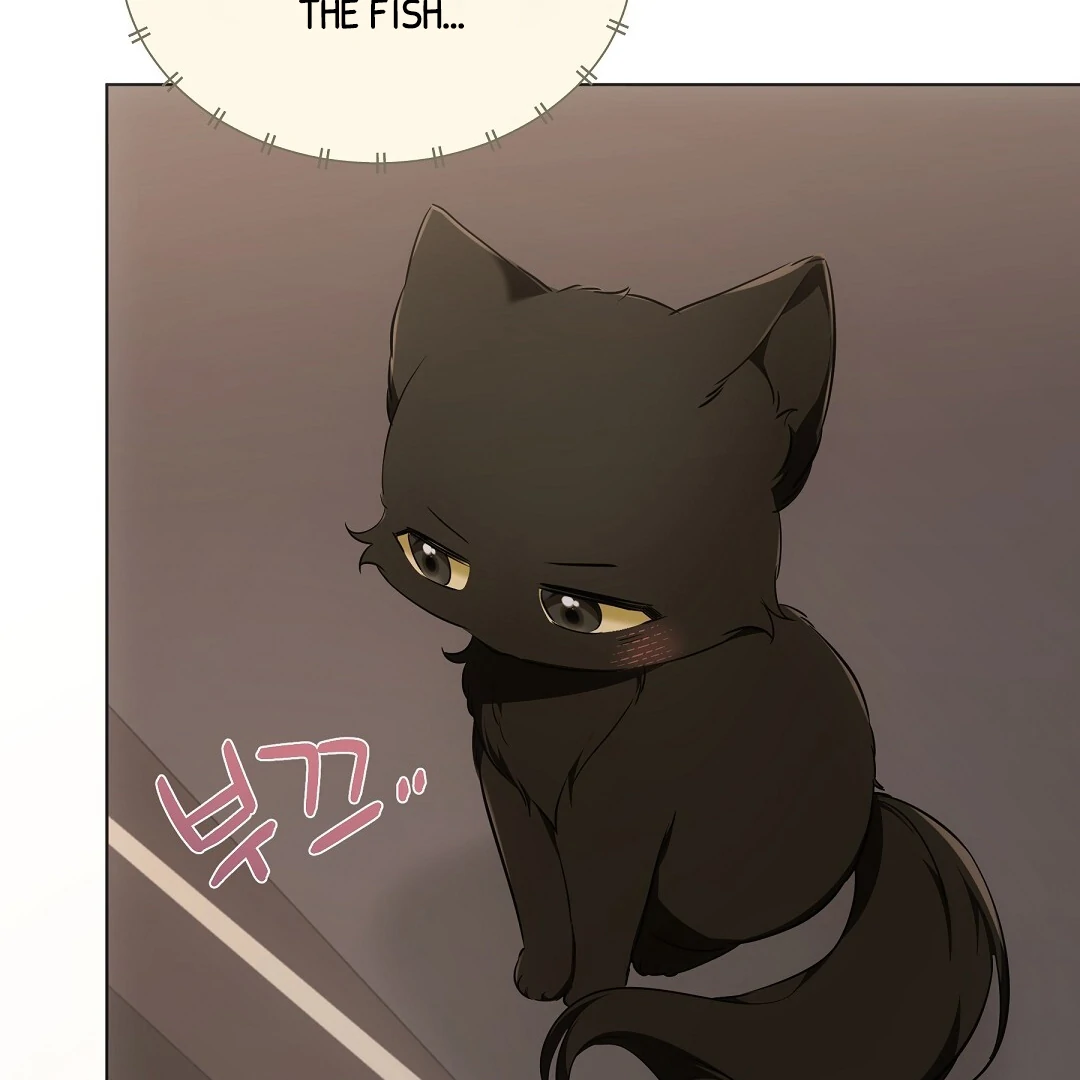 NEKO THERAPY Chapter 11 - Page 75 in English
