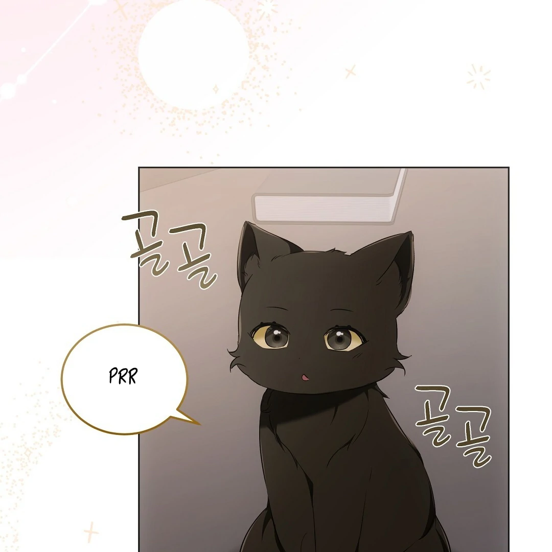 NEKO THERAPY Chapter 11 - Page 80 in English