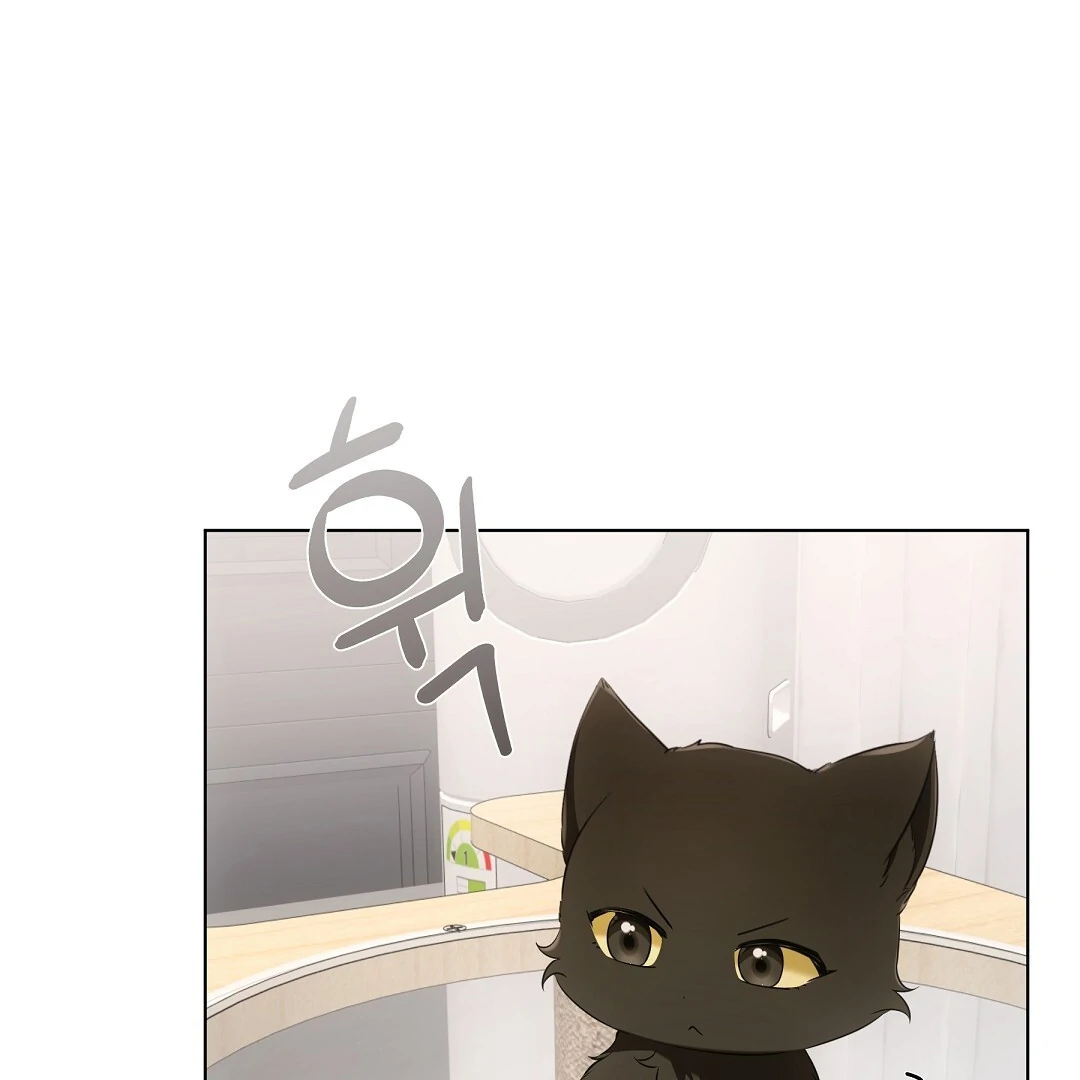 NEKO THERAPY Chapter 12 - Page 3 in English