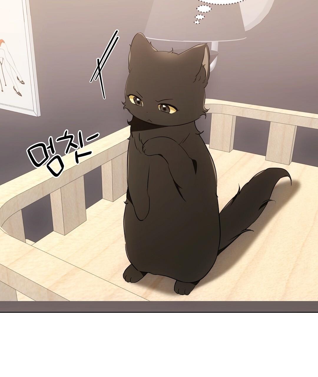 NEKO THERAPY Chapter 21 - Page 64 in English