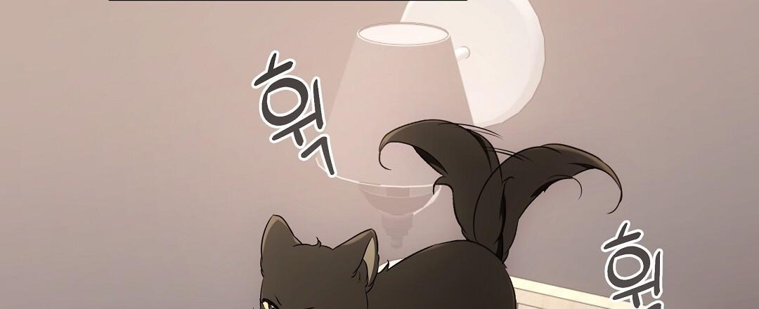 NEKO THERAPY Chapter 21 - Page 84 in English