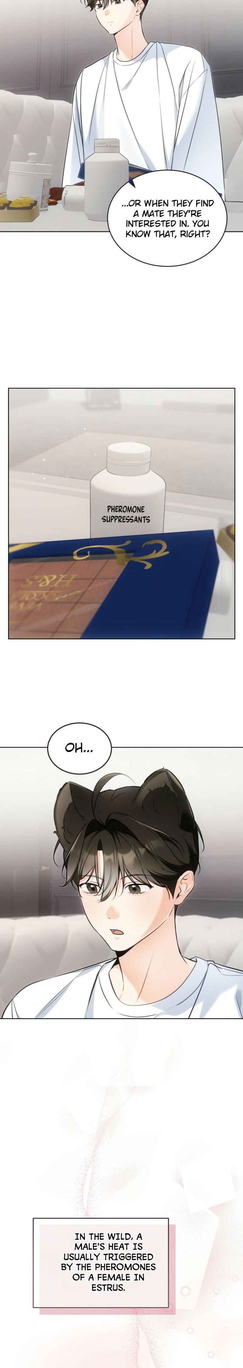 NEKO THERAPY Chapter 25.5 - Page 8 in English