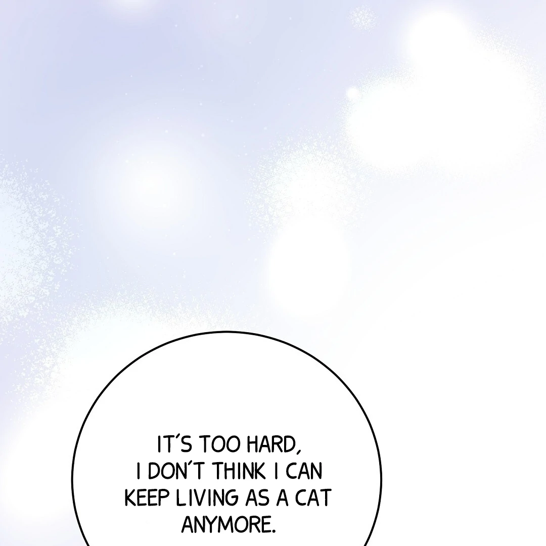 NEKO THERAPY Chapter 6 - Page 42 in English