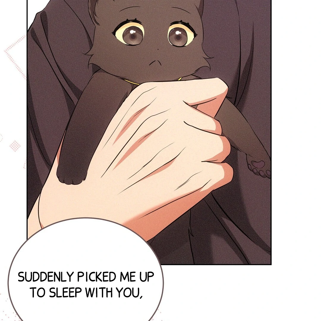 NEKO THERAPY Chapter 7 - Page 67 in English