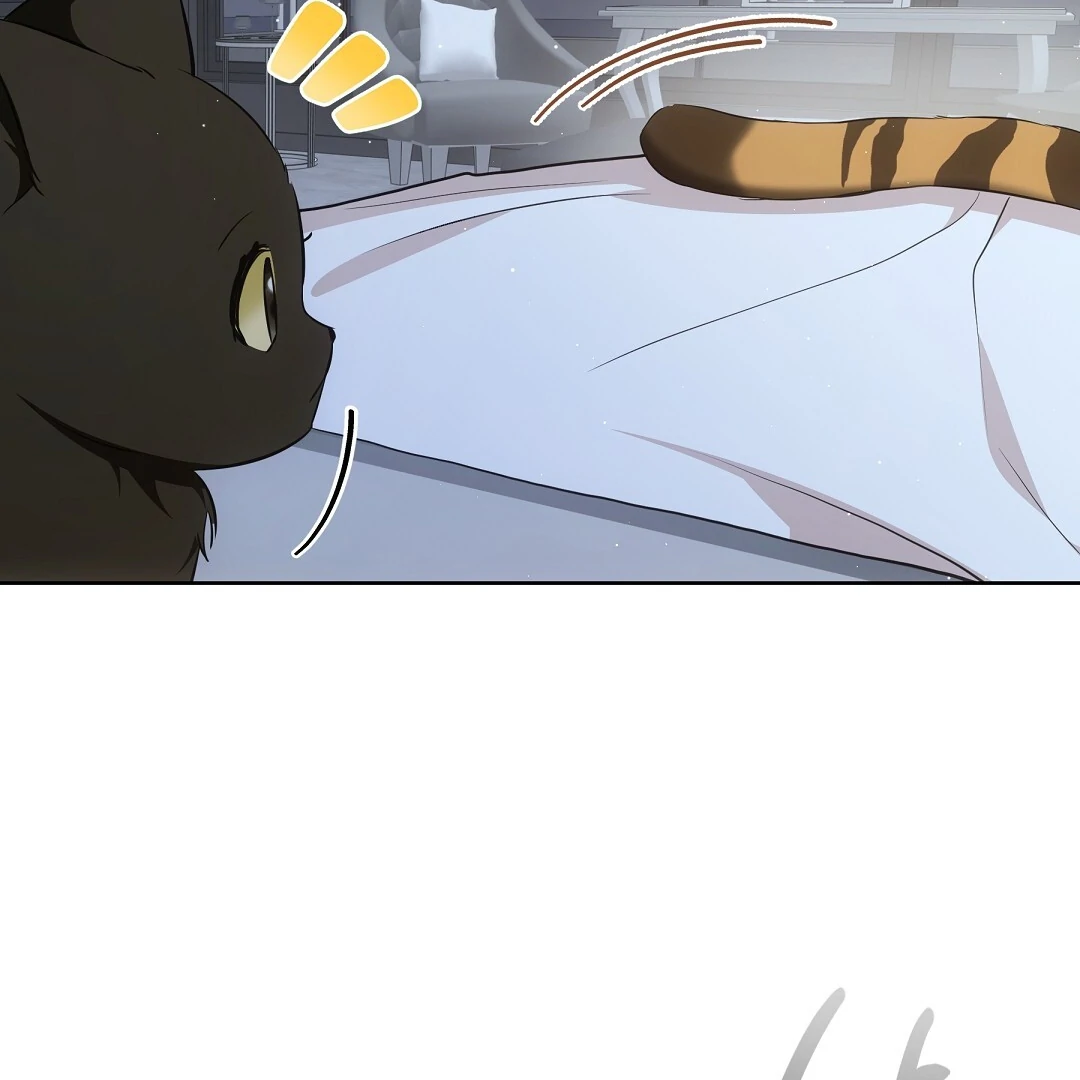 NEKO THERAPY Chapter 8 - Page 15 in English