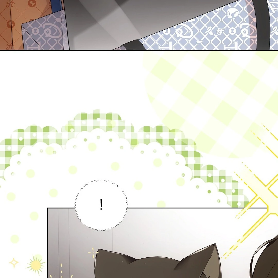 NEKO THERAPY Chapter 9 - Page 47 in English