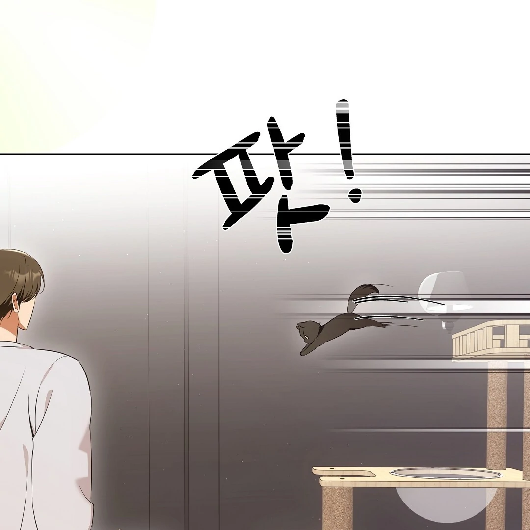 NEKO THERAPY Chapter 9 - Page 51 in English