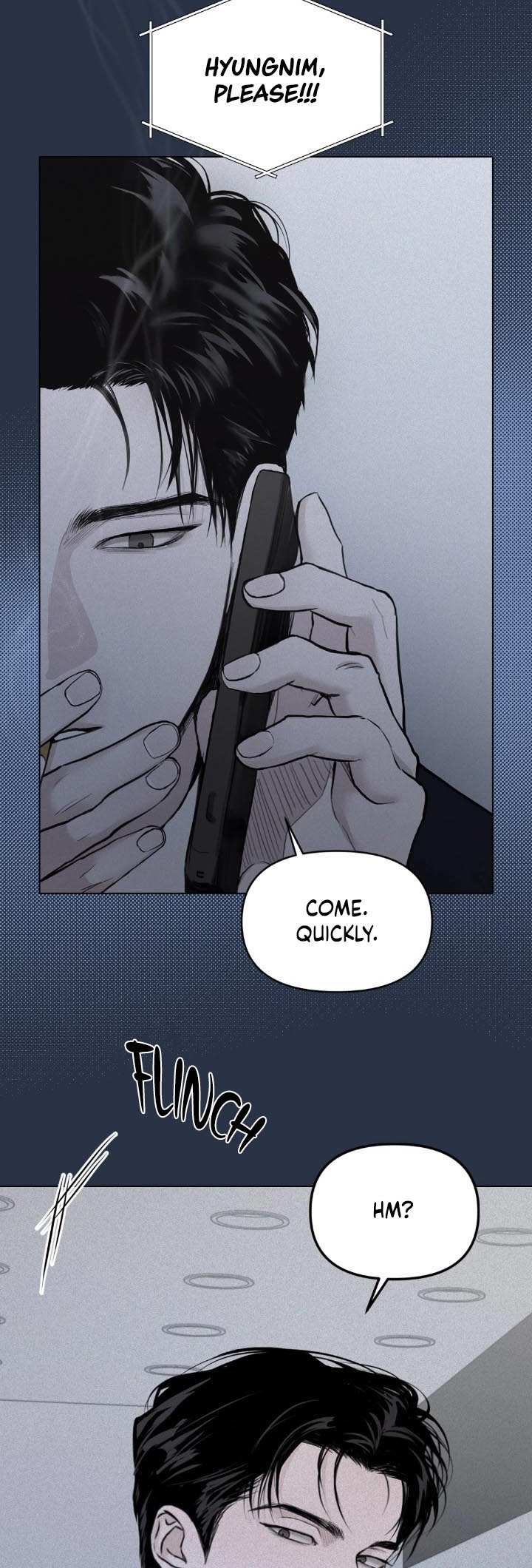 Projection Chapter 0 - Page 5 in English