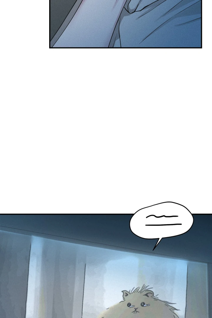 Projection Chapter 41 - Page 63 in English