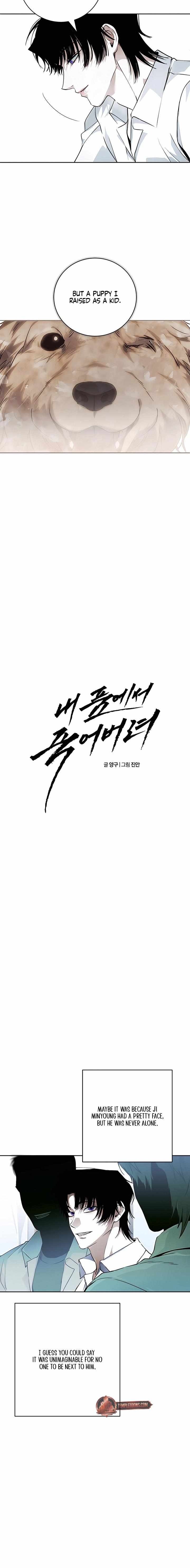 Dying in My Arms Chapter 22 - Page 6 in English