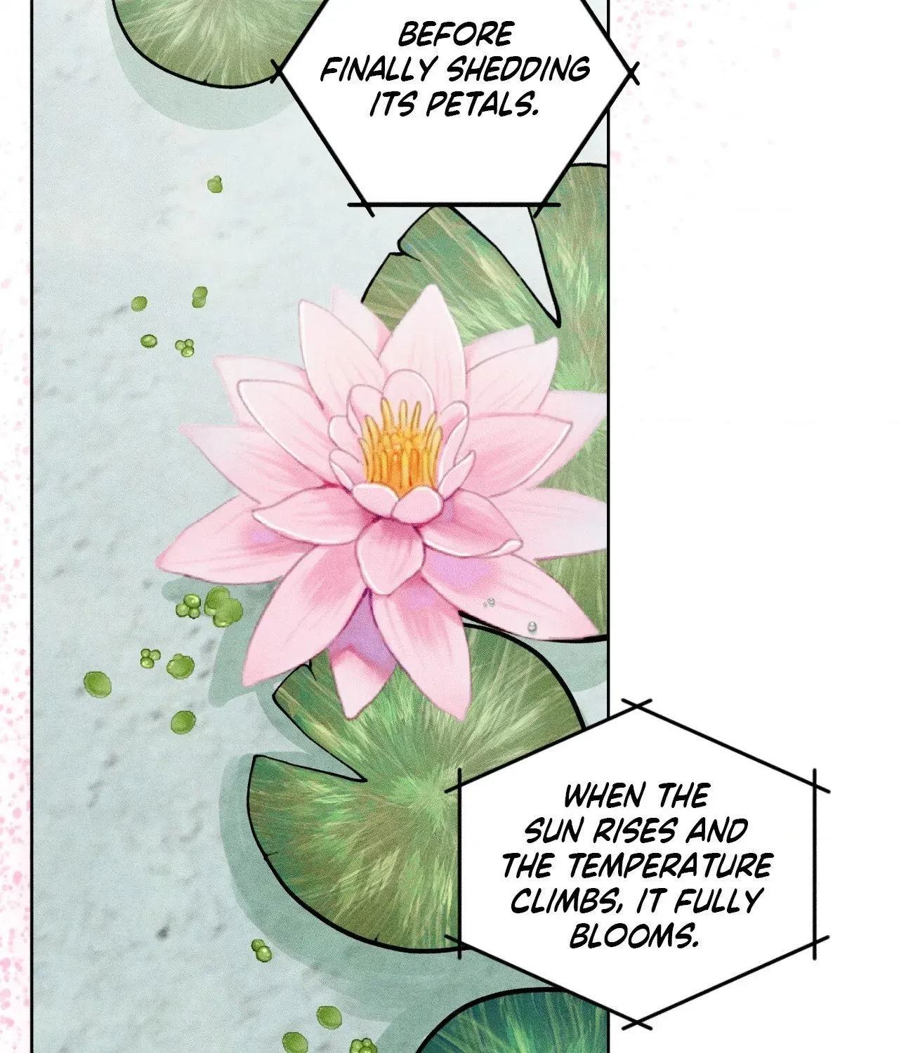 Pond Where Flowers Fall Chapter 66 - Page 27 in English