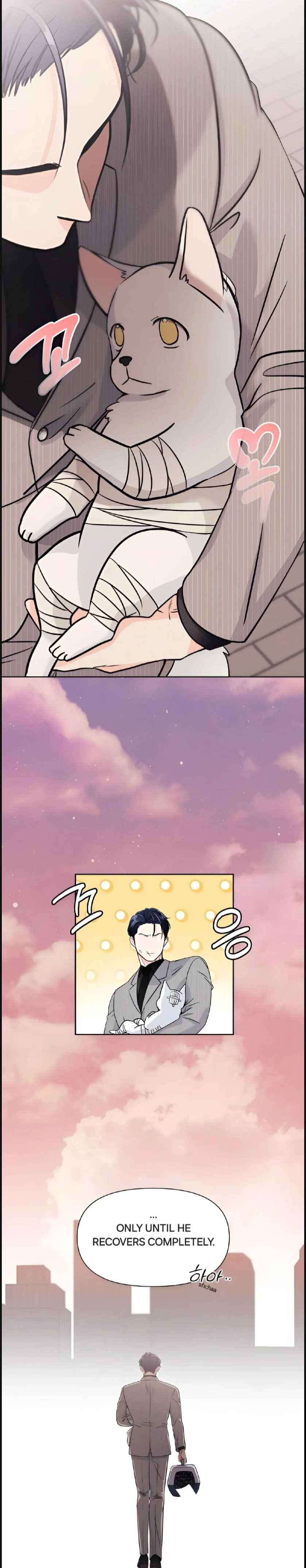 Lovely wolf Chapter 2 - Page 8 in English