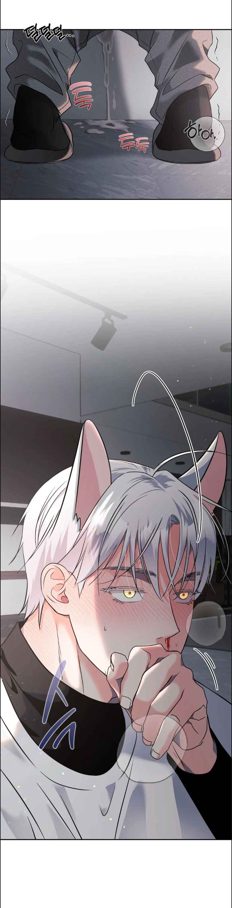 Lovely wolf Chapter 20.5 - Page 10 in English