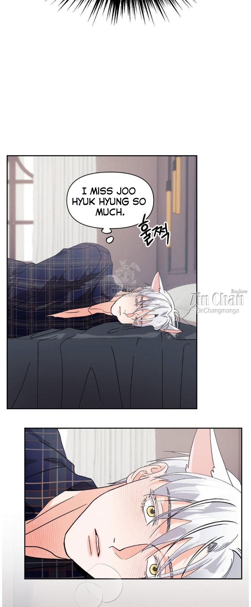 Lovely wolf Chapter 25.5 - Page 16 in English
