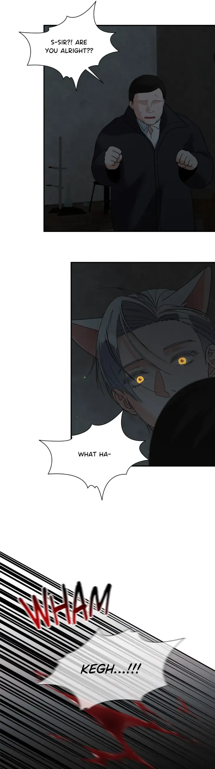 Lovely wolf Chapter 55.5 - Page 17 in English