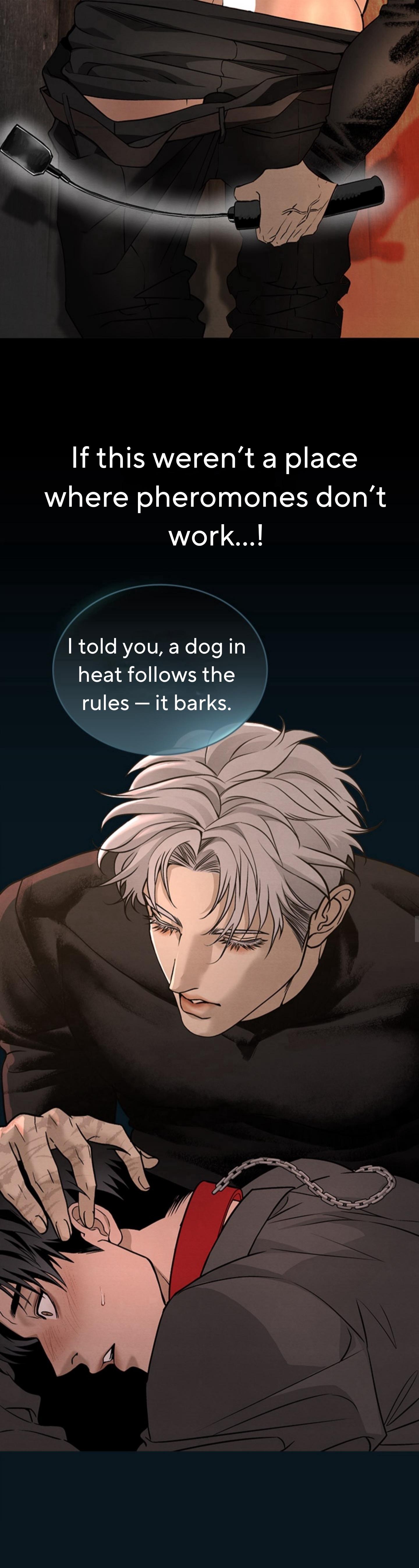 Read Taming the Alpha Dog Manga Online Free – Dark BL, Psychological Drama & Power Play Chapter 1 - Page 5 in English