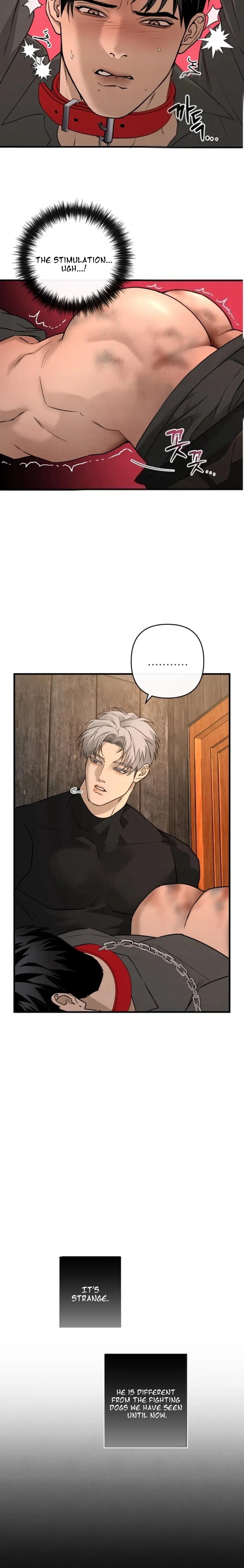 Read Taming the Alpha Dog Manga Online Free – Dark BL, Psychological Drama & Power Play Chapter 4 - Page 22 in English