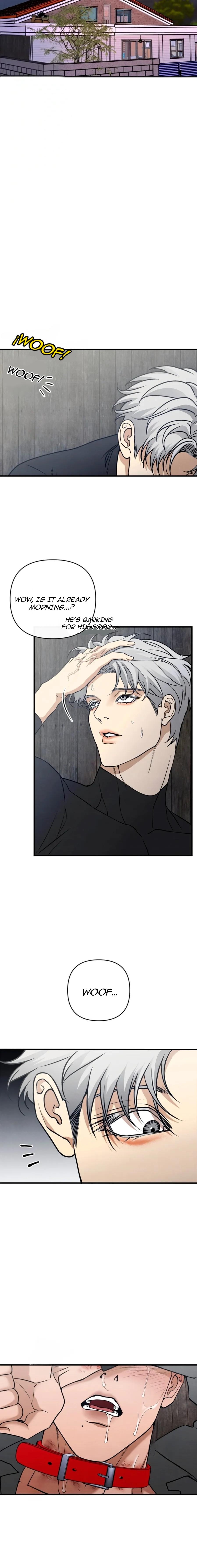 Read Taming the Alpha Dog Manga Online Free – Dark BL, Psychological Drama & Power Play Chapter 5 - Page 19 in English