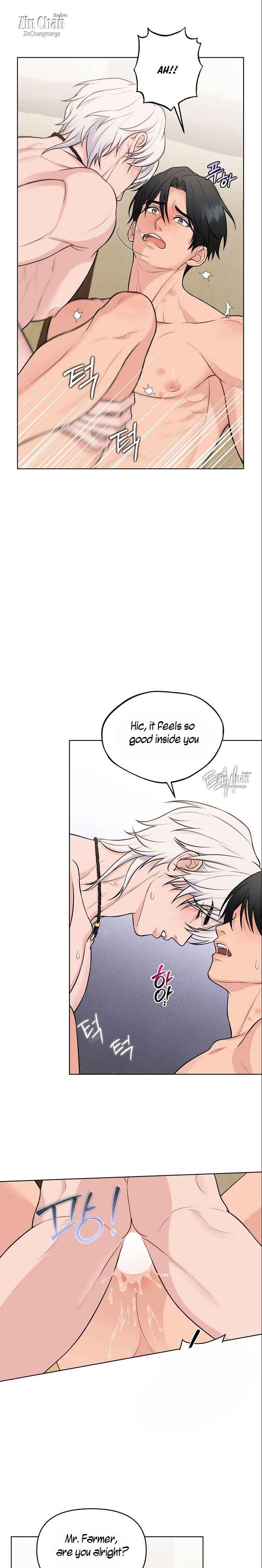 A Farmer’s Nightly Secret Chapter 6.5 - Page 8 in English