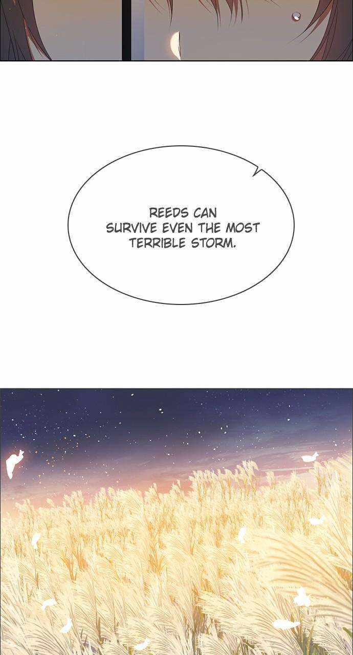 Zero Game Chapter 243 - Page 47 in English