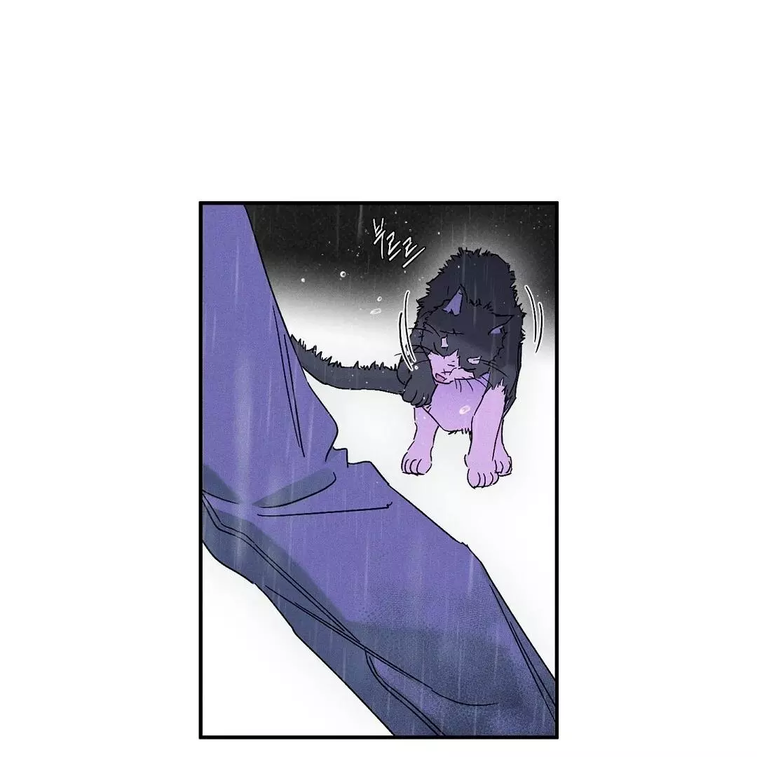 WET SAND Chapter 74 - Page 43 in English