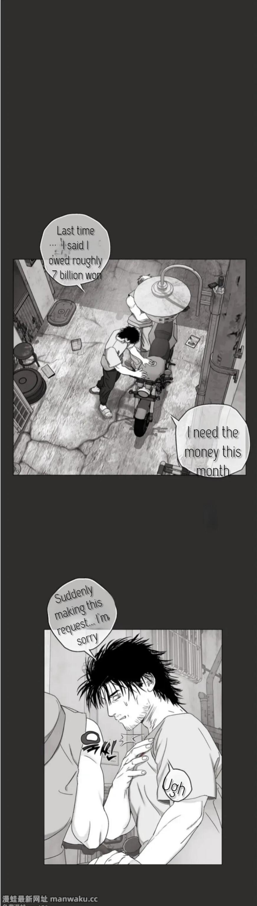 Indomitable Champion Chapter 41 - Page 13 in English