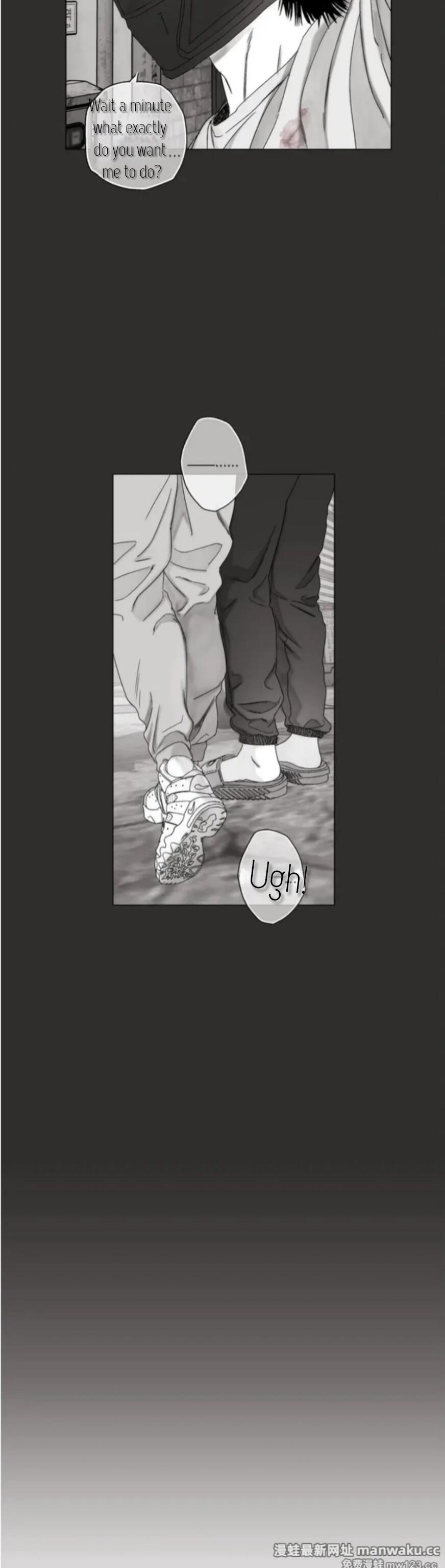 Indomitable Champion Chapter 41 - Page 17 in English